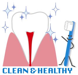 健康な歯ぐきを維持しよう。